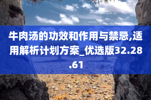 牛肉汤的功效和作用与禁忌,适用解析计划方案_优选版32.28.61