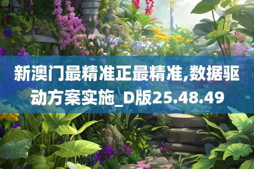 新澳门最精准正最精准,数据驱动方案实施_D版25.48.49