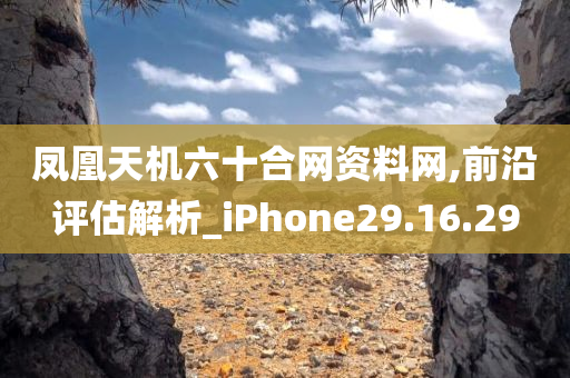 凤凰天机六十合网资料网,前沿评估解析_iPhone29.16.29