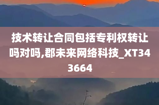 技术转让合同包括专利权转让吗对吗,郡未来网络科技_XT343664