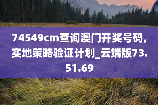 74549cm查询澳门开奖号码,实地策略验证计划_云端版73.51.69