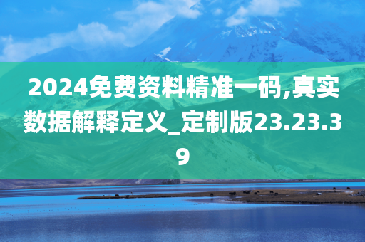 2024免费资料精准一码,真实数据解释定义_定制版23.23.39