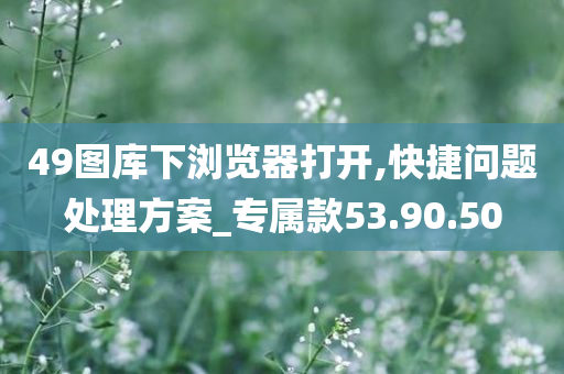 49图库下浏览器打开,快捷问题处理方案_专属款53.90.50