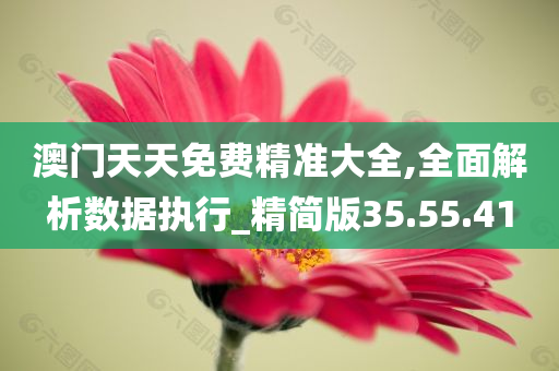 澳门天天免费精准大全,全面解析数据执行_精简版35.55.41