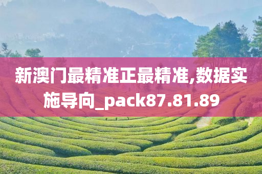 新澳门最精准正最精准,数据实施导向_pack87.81.89