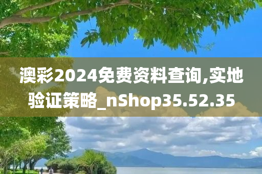 澳彩2024免费资料查询,实地验证策略_nShop35.52.35