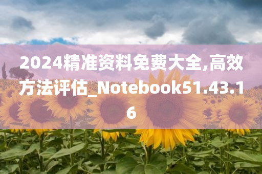 2024精准资料免费大全,高效方法评估_Notebook51.43.16