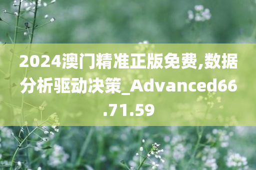 2024澳门精准正版免费,数据分析驱动决策_Advanced66.71.59