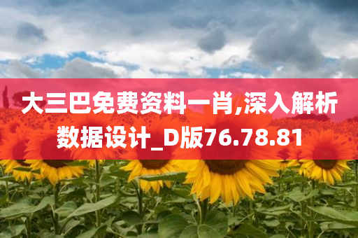 大三巴免费资料一肖,深入解析数据设计_D版76.78.81