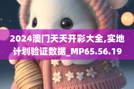 2024澳门天天开彩大全,实地计划验证数据_MP65.56.19