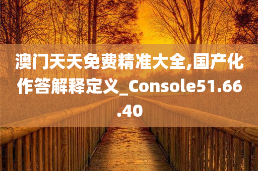 澳门天天免费精准大全,国产化作答解释定义_Console51.66.40