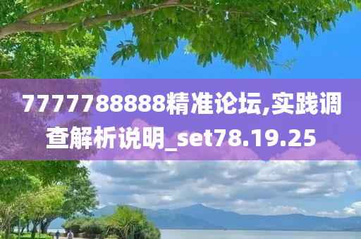 7777788888精准论坛,实践调查解析说明_set78.19.25