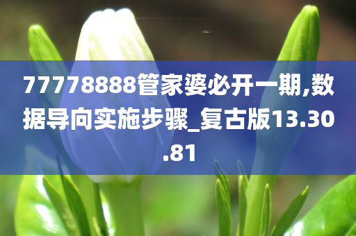 77778888管家婆必开一期,数据导向实施步骤_复古版13.30.81