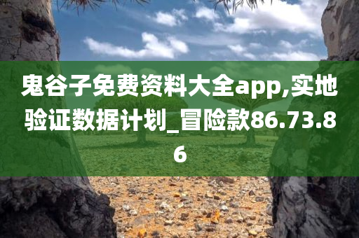 鬼谷子免费资料大全app,实地验证数据计划_冒险款86.73.86