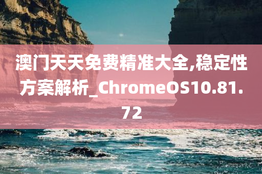 澳门天天免费精准大全,稳定性方案解析_ChromeOS10.81.72