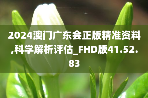 2024澳门广东会正版精准资料,科学解析评估_FHD版41.52.83