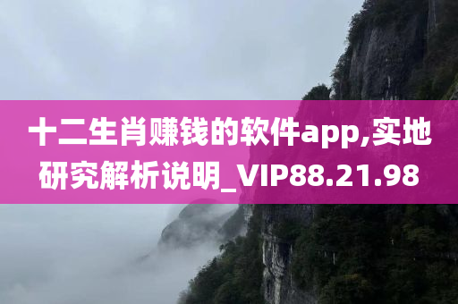 十二生肖赚钱的软件app,实地研究解析说明_VIP88.21.98