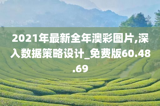 2021年最新全年澳彩图片,深入数据策略设计_免费版60.48.69