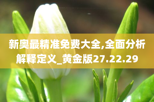 新奥最精准免费大全,全面分析解释定义_黄金版27.22.29