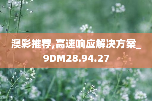 澳彩推荐,高速响应解决方案_9DM28.94.27