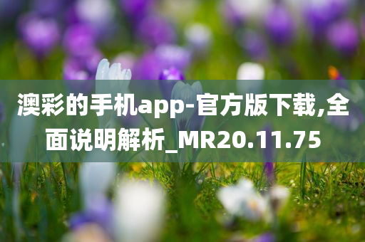 澳彩的手机app-官方版下载,全面说明解析_MR20.11.75