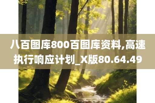 八百图库800百图库资料,高速执行响应计划_X版80.64.49