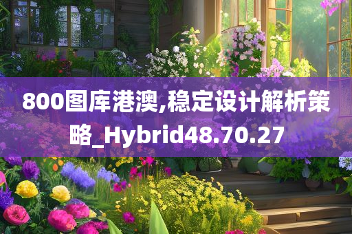 800图库港澳,稳定设计解析策略_Hybrid48.70.27