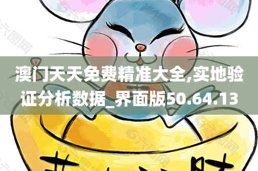 澳门天天免费精准大全,实地验证分析数据_界面版50.64.13