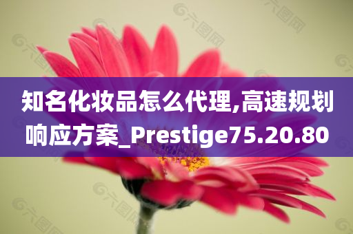 知名化妆品怎么代理,高速规划响应方案_Prestige75.20.80