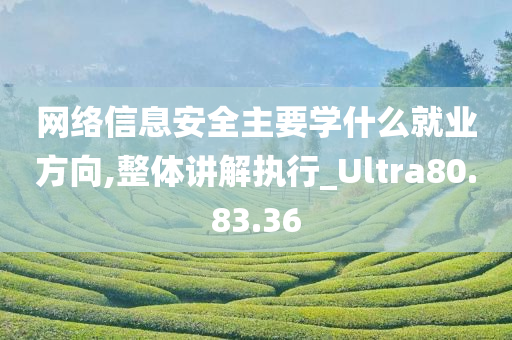 网络信息安全主要学什么就业方向,整体讲解执行_Ultra80.83.36