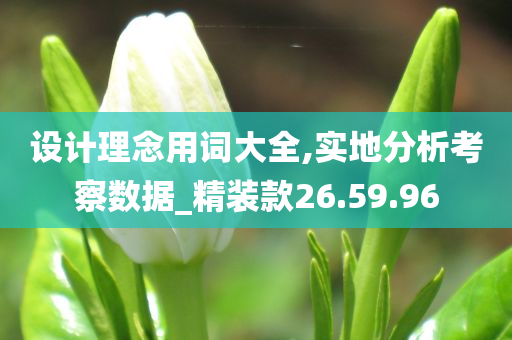 设计理念用词大全,实地分析考察数据_精装款26.59.96