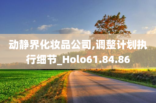 动静界化妆品公司,调整计划执行细节_Holo61.84.86