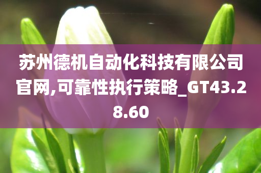 苏州德机自动化科技有限公司官网,可靠性执行策略_GT43.28.60