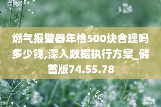 燃气报警器年检500块合理吗多少钱,深入数据执行方案_储蓄版74.55.78