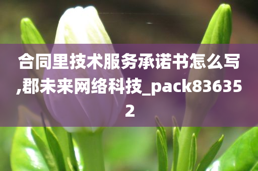 合同里技术服务承诺书怎么写,郡未来网络科技_pack836352