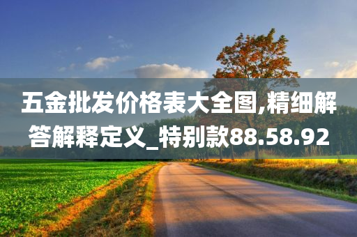 五金批发价格表大全图,精细解答解释定义_特别款88.58.92