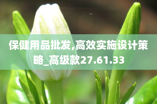 保健用品批发,高效实施设计策略_高级款27.61.33