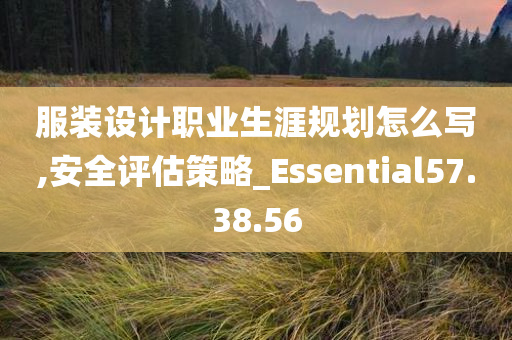 服装设计职业生涯规划怎么写,安全评估策略_Essential57.38.56