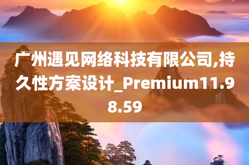 广州遇见网络科技有限公司,持久性方案设计_Premium11.98.59