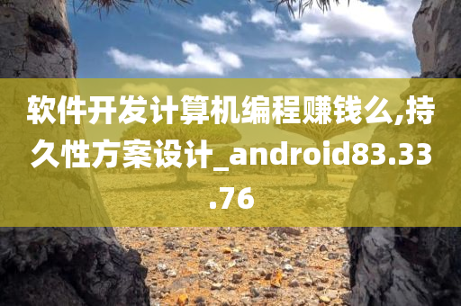 软件开发计算机编程赚钱么,持久性方案设计_android83.33.76