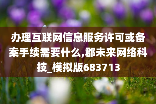 办理互联网信息服务许可或备案手续需要什么,郡未来网络科技_模拟版683713