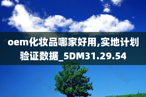 oem化妆品哪家好用,实地计划验证数据_5DM31.29.54