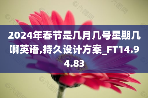 2024年春节是几月几号星期几啊英语,持久设计方案_FT14.94.83