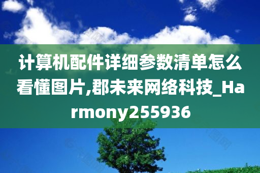 计算机配件详细参数清单怎么看懂图片,郡未来网络科技_Harmony255936