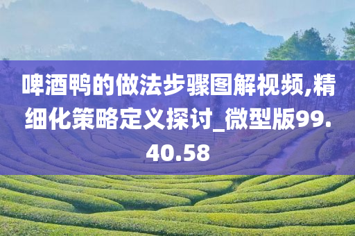 啤酒鸭的做法步骤图解视频,精细化策略定义探讨_微型版99.40.58