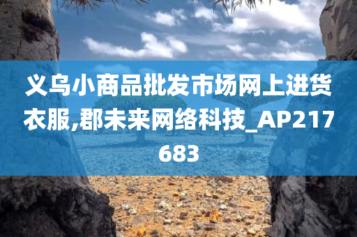 义乌小商品批发市场网上进货衣服,郡未来网络科技_AP217683