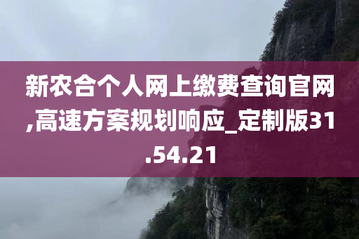 新农合个人网上缴费查询官网,高速方案规划响应_定制版31.54.21