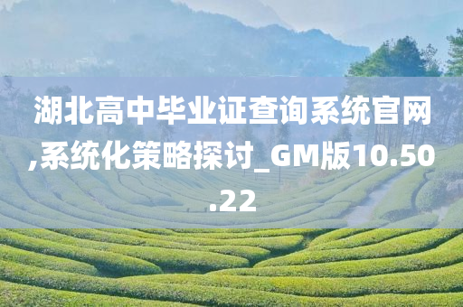 湖北高中毕业证查询系统官网,系统化策略探讨_GM版10.50.22