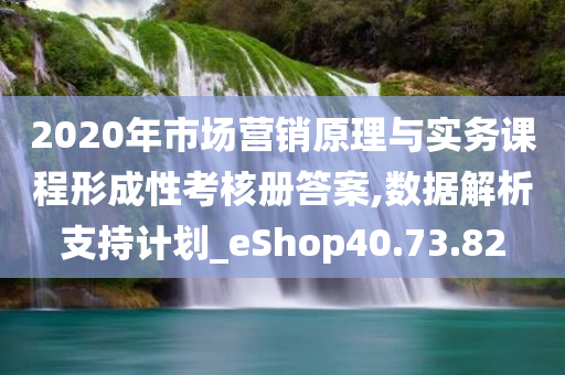 2020年市场营销原理与实务课程形成性考核册答案,数据解析支持计划_eShop40.73.82