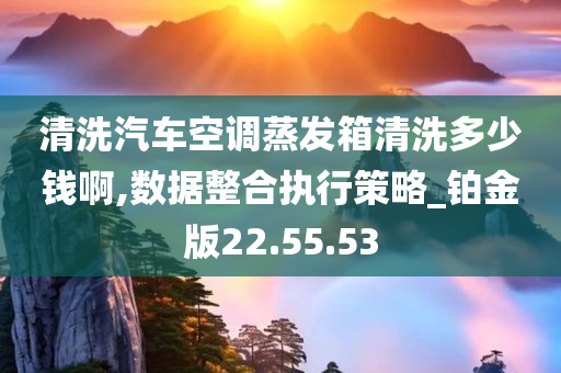 清洗汽车空调蒸发箱清洗多少钱啊,数据整合执行策略_铂金版22.55.53